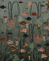 Aquatic Life, Oxygen, Rebel Walls