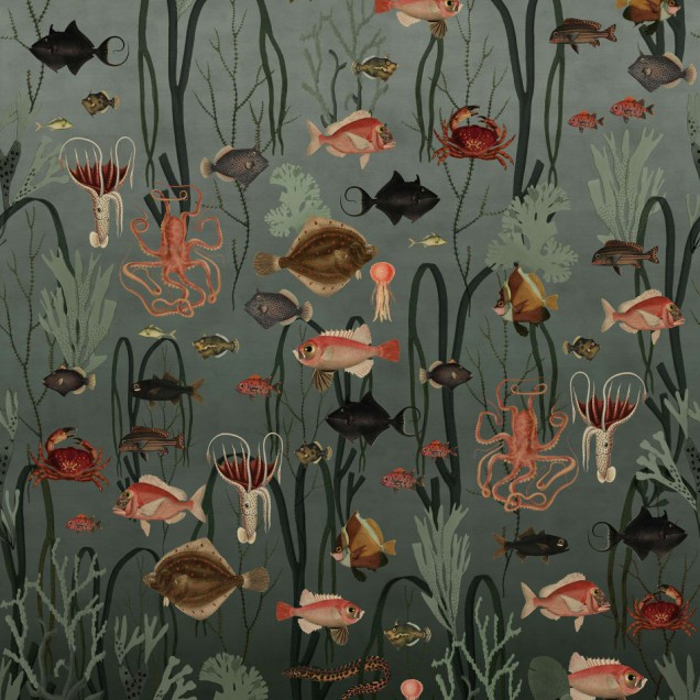 Aquatic Life, Oxygen, Rebel Walls