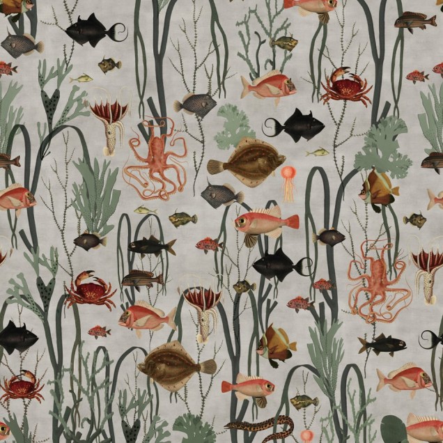 Aquatic Life, Rebel Walls