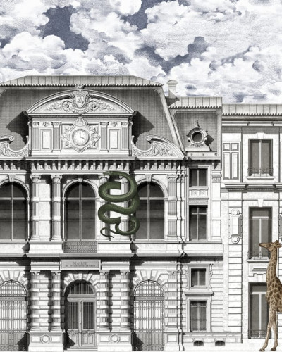 Tapet 3D cu design urban si tigru, Animal Avenue, Colorful