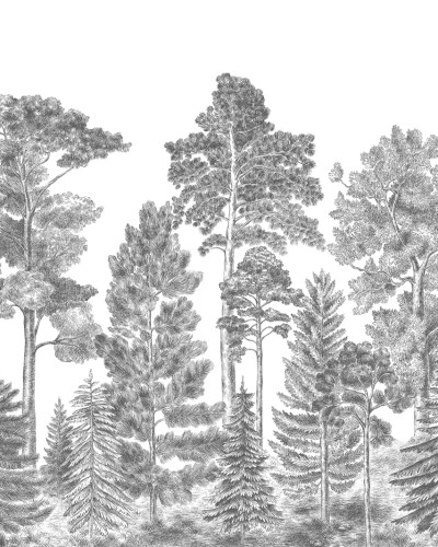 Scandinavian Bellewood, Gray, Rebel Walls
