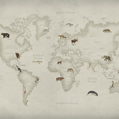 Tapet 3D Animal World cu hartă a lumii și animale din fiecare continent