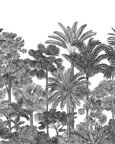 Tropical Bellewood, Graphite, Rebel Walls