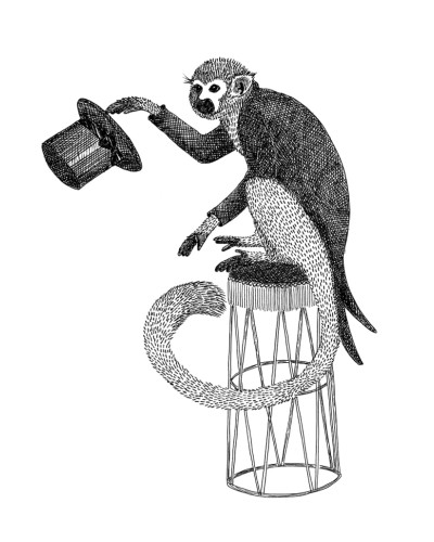 Circus Animal, Mr Monkey, Rebel Walls