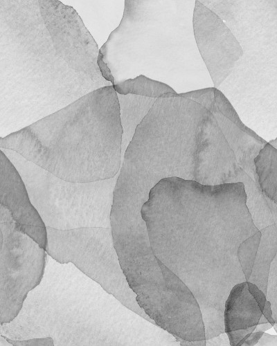 Tapet cu petale gri, design minimalist