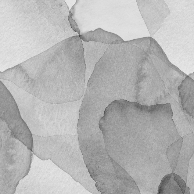 Tapet cu petale gri, design minimalist