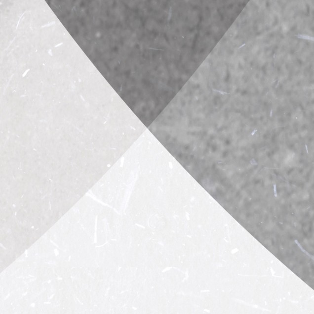 Tapet minimalist cu cercuri suprapuse in gri deschis, perfect pentru decorul modern.