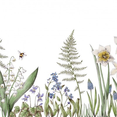 Bumblebee, White, Rebel Walls