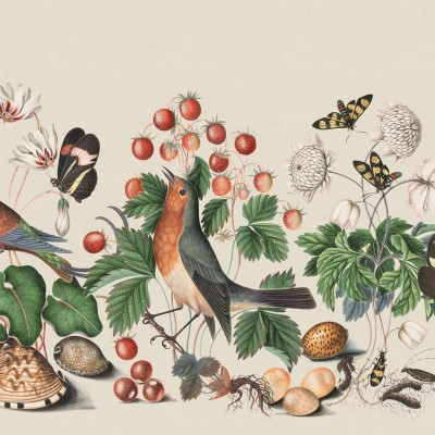 Tapet cu motive botanice și animale - Flora și Fauna