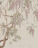 Wisteria Tree, Sand, Rebel Walls