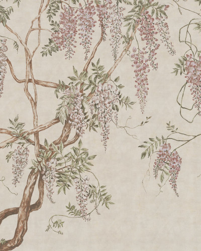 Tapet cu flori de glicina, Wisteria Tree, Sand