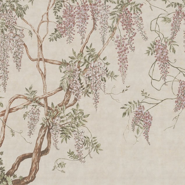 Tapet cu flori de glicina, Wisteria Tree, Sand