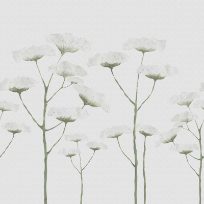 Tapet floral minimalist Dara, White, cu flori albe pe un fundal gri deschis.