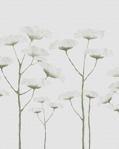Tapet floral minimalist Dara, White, cu flori albe pe un fundal gri deschis.
