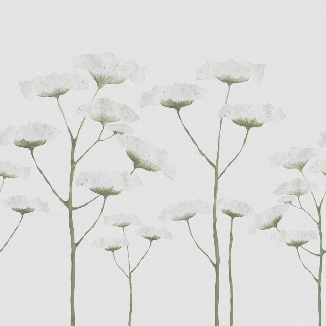 Tapet floral minimalist Dara, White, cu flori albe pe un fundal gri deschis.