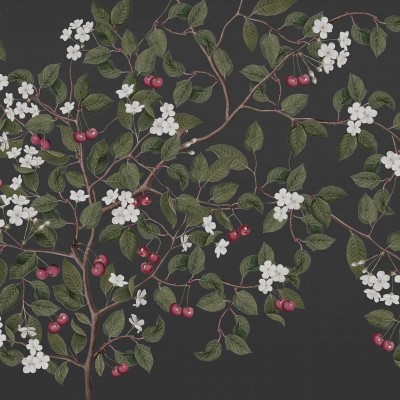 Tapet cu cireșe, Cherries, Midnight, un design clasic cu o notă modernă. Florile albe delicate contrastând cu fundalul întunecat.