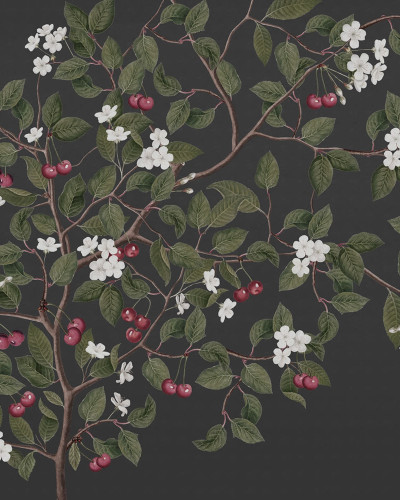 Tapet cu cireșe, Cherries, Midnight, un design clasic cu o notă modernă. Florile albe delicate contrastând cu fundalul întunecat.