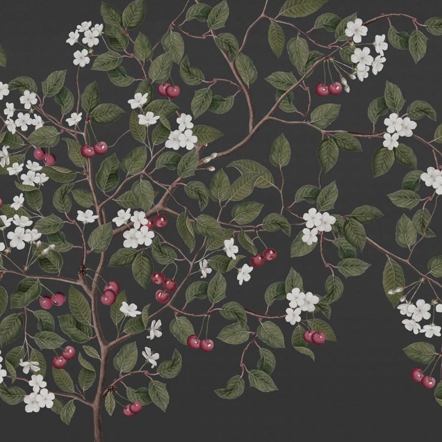 Tapet cu cireșe, Cherries, Midnight, un design clasic cu o notă modernă. Florile albe delicate contrastând cu fundalul întunecat.