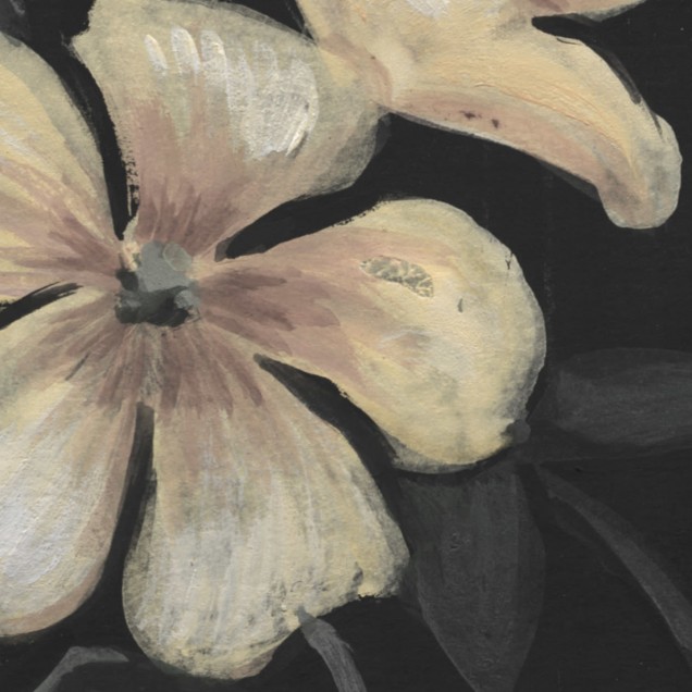 Tapet floral vintage cu flori albe și roz pale pe fundal negru