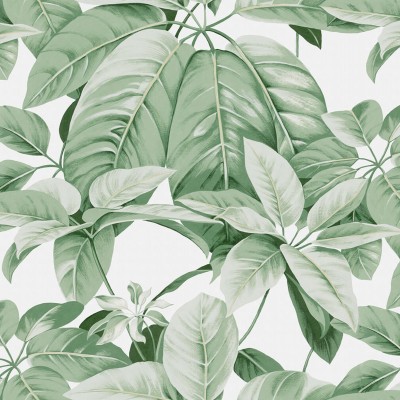 Tapet cu frunze mari, de un verde vibrant, pe un fundal alb. Design elegant și versatil, perfect pentru a adăuga o notă de culoare și prospețime oricărei camere.