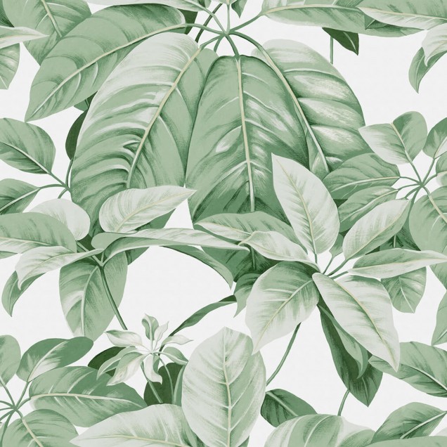Tapet cu frunze mari, de un verde vibrant, pe un fundal alb. Design elegant și versatil, perfect pentru a adăuga o notă de culoare și prospețime oricărei camere.