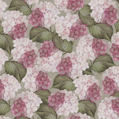Tapet floral cu hortensie roz, design elegant