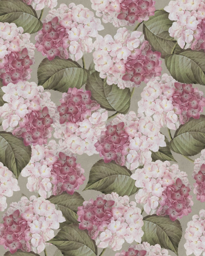 Tapet floral cu hortensie roz, design elegant