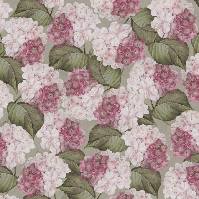 Tapet floral cu hortensie roz, design elegant