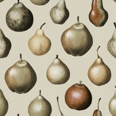 Wallpaper Vintage Pear cu pere vintage pe un perete din camera de mancat, cu masa si scaune din lemn