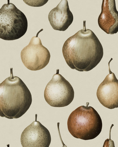 Wallpaper Vintage Pear cu pere vintage pe un perete din camera de mancat, cu masa si scaune din lemn