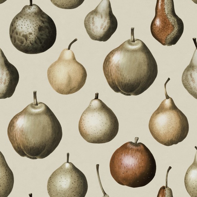 Wallpaper Vintage Pear cu pere vintage pe un perete din camera de mancat, cu masa si scaune din lemn