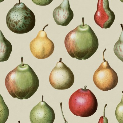 Tapet Vintage Pear cu pere pictate manual