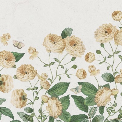 Tapet cu flori delicate Sweet Buttercups, Sand