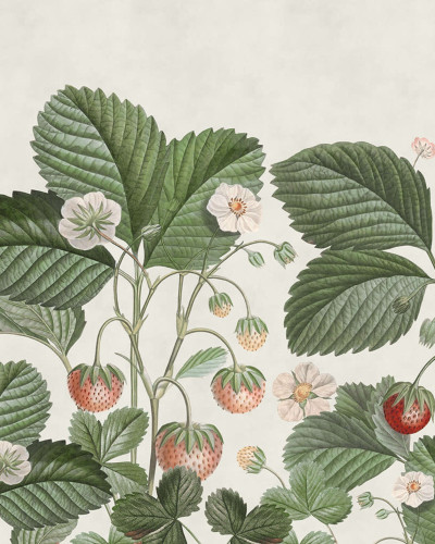 Tapet cu model floral, Wild Strawberries, Green, cu fragi rosii si frunze verzi pe un fond subtil.