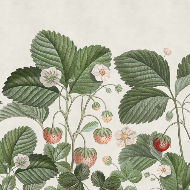 Tapet cu model floral, Wild Strawberries, Green, cu fragi rosii si frunze verzi pe un fond subtil.