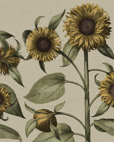 Sunflower, Yellow, Rebel Walls