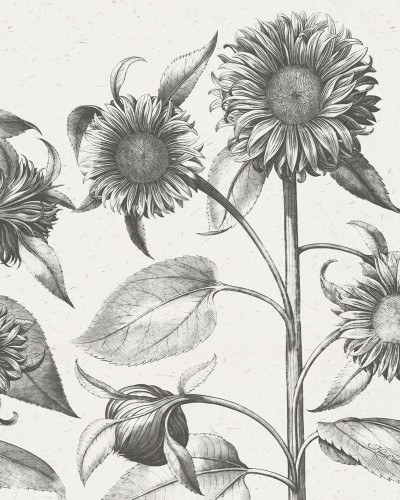 Sunflower, Beige, Rebel Walls
