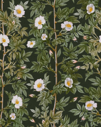 Tapet floral Rose Hip, Midnight cu flori albe pe fundal verde închis