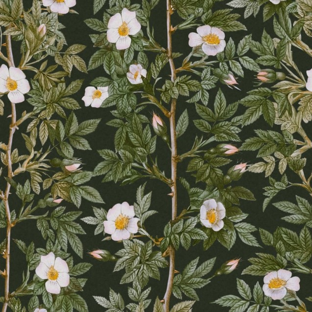 Tapet floral Rose Hip, Midnight cu flori albe pe fundal verde închis