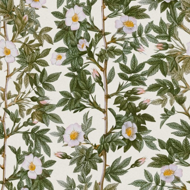 Tapet floral Rose Hip, Green, cu trandafiri albi și frunze verzi.