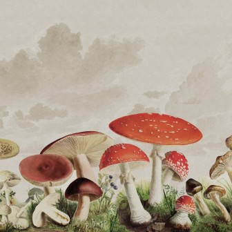 Fototapet Mushrooms, Color, Rebel Walls