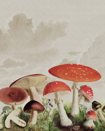 Mushrooms, Color, Rebel Walls