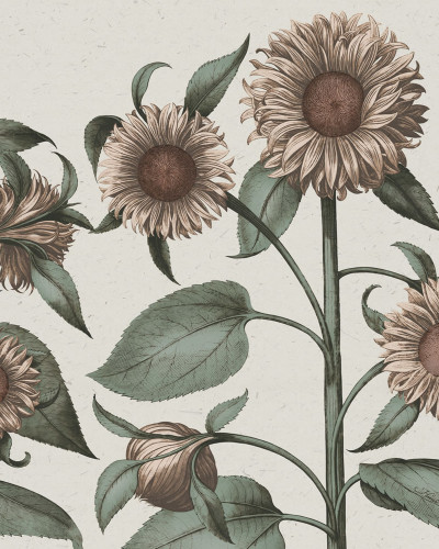 Sunflower, Peach, Rebel Walls