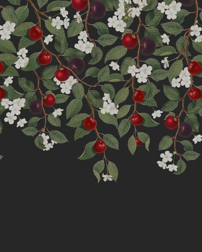 Wallpaper Mirabelle, Midnight cu ramuri pline de frunze verzi, flori albe delicate și prune roșii suculente, toate pe un fundal negru elegant.