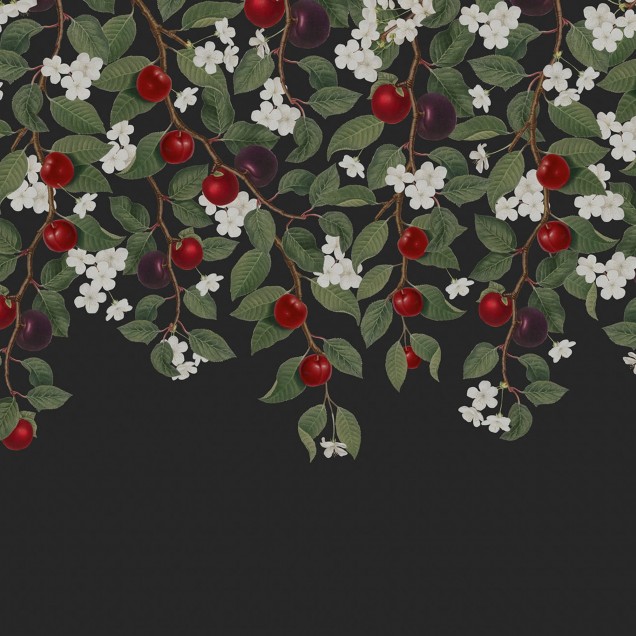 Wallpaper Mirabelle, Midnight cu ramuri pline de frunze verzi, flori albe delicate și prune roșii suculente, toate pe un fundal negru elegant.