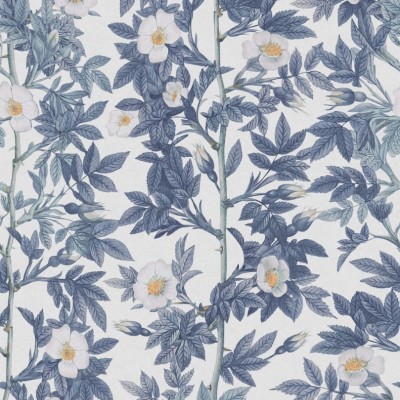 Rose Hip, Blue tapet floral cu flori albe și frunze albastre pe un fundal alb.