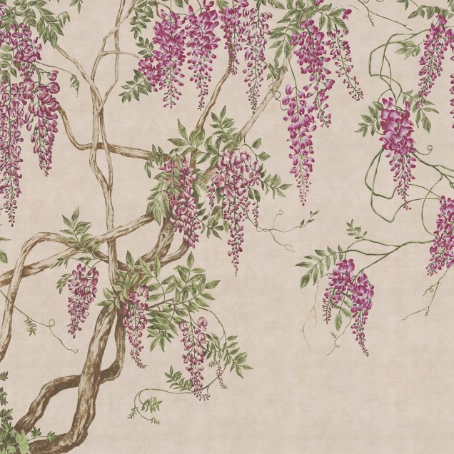 Tapet cu glicine, Wisteria Tree, Dusty Pink