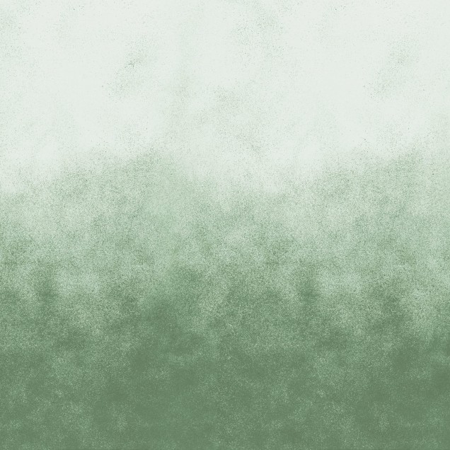Tapet verde deschis cu design minimalist