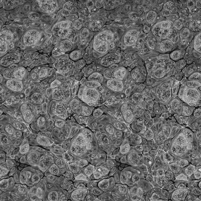 Tapet Marbling, Graphite
