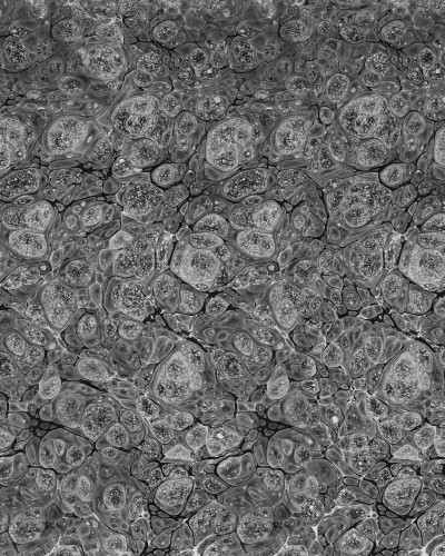 Tapet Marbling, Graphite